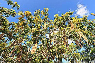 国产海洋建造游戏《沉浮》抢先体验版今日发售！