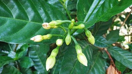 《街霸6》Switc2实体版采用限期DLC兑换码引发争议